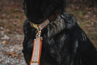 Southwest Spirit Leash