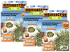 Resurrection Plant -  Multipack of 3