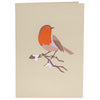 Robin Pop Up Card