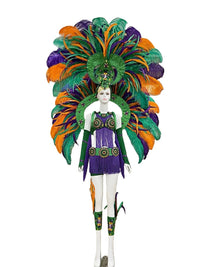 Regal Feathered Backpiece and Rhinestone Costume Set
