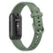 avocado green