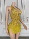 Crystal Rhinestone Fringe Sleeveless Bodysuit & Aerial Dance Leotard Costume