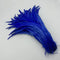 Royal blue / 35-40CM