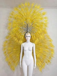Showgirl Feather Backpiece and Rhinestone Headdress Set