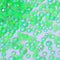 Shimmer Apple Green / Mix Size(SS6-SS20) / 1440Pcs