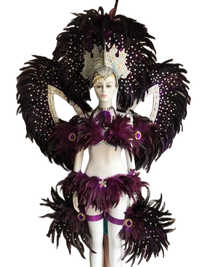 Jewel-Toned Feathered Wings and Headdress Set