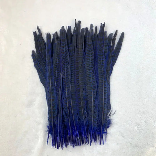 Natural Female Pheasant Tail Feathers (10pcs/lot)