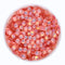 MO Coral Reef / SS20-1440Pcs / As shown
