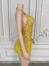 Crystal Rhinestone Fringe Sleeveless Bodysuit & Aerial Dance Leotard Costume