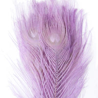 Premium Peacock Eye Feathers 10PC