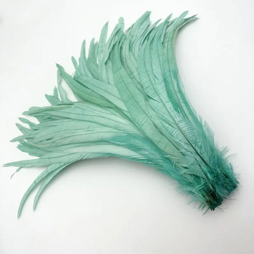 50PCS Two-Tone Rooster Tail Feathers (35-40CM)