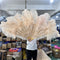 champagne / 130CM 1Pair(2pcs)