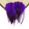 Purple / 50pcs