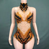 Sparkly Rhinestone Transparent Mesh Bodysuit Stage Performance Costume