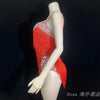 Custom Fringe Rhinestone Bodysuit & Stage Performance Dance Costume