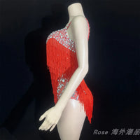 Custom Fringe Rhinestone Bodysuit & Stage Performance Dance Costume