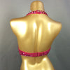 The Stardust Prism Sirena – Deluxe Beaded & Sequined Belly Dance Bra Top