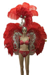 Ornate Red Feather & Rhinestone Carnival Set