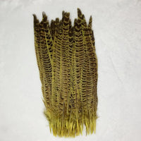 Natural Female Pheasant Tail Feathers (100PCS)