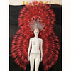 Showgirl Feather Backpiece and Rhinestone Headdress Set