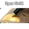 2pcs Gold