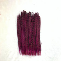 Natural Female Pheasant Tail Feathers (100PCS)