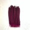 Rose Red / 25-30CM