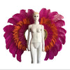 Two-Tone Feather Wing Backpiece Stage Costume Accessory