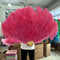 Western red / 130CM 1Pair(2pcs)