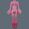 Pink / XL