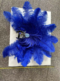 The Stardust Samba Enchantment – Exquisite Feathered Dance & Stage Headdress