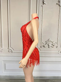 Crystal Rhinestone Fringe Sleeveless Bodysuit & Aerial Dance Leotard Costume