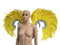 Yellow / One Size