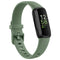avocado green