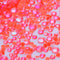 Shimmer DK Orange / Mix Size(SS6-SS20) / 1440Pcs