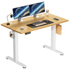 JHK Electric Standing Desk Height Adjustable 40x24 Inch Stand Up Sit Stand Computer Desk Workstation Ergonomic Work Table