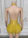 Crystal Rhinestone Fringe Sleeveless Bodysuit & Aerial Dance Leotard Costume