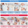 10pcs Dog Diapers Males Females Disposable Nappies Pants Physiological Underwear Adjustable Leakproof Breathable Safety Pants