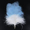 Blue / White / 55-60CM