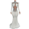 Rhinestone Floral Embroidered Mermaid Gala Gown & Trailing Evening Dress