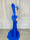 Rhinestone Floral Embroidered Mermaid Gala Gown & Trailing Evening Dress