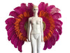 Two-Tone Feather Wing Backpiece Stage Costume Accessory