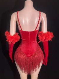 Sparkly Rhinestone & Sequin Tassel Bodysuit with Feathers & Gloves Costume Set