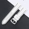 white - black / Silver buckle / 22mm