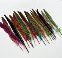Natural Female Pheasant Tail Feathers (10pcs/lot)