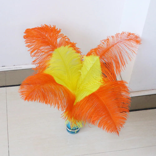 10PC Two-Tone Decorative Feather Plumes