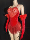 Sparkly Rhinestone & Sequin Tassel Bodysuit with Feathers & Gloves Costume Set