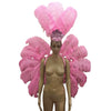 Feather Backpiece and Plume Headdress Set