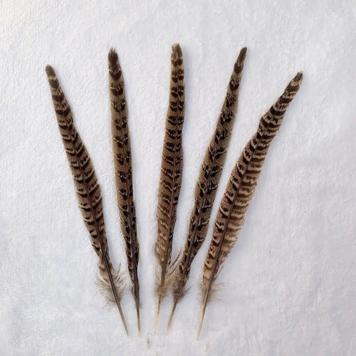 Natural Female Pheasant Tail Feathers (100PCS)