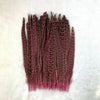 Natural Female Pheasant Tail Feathers (100PCS)